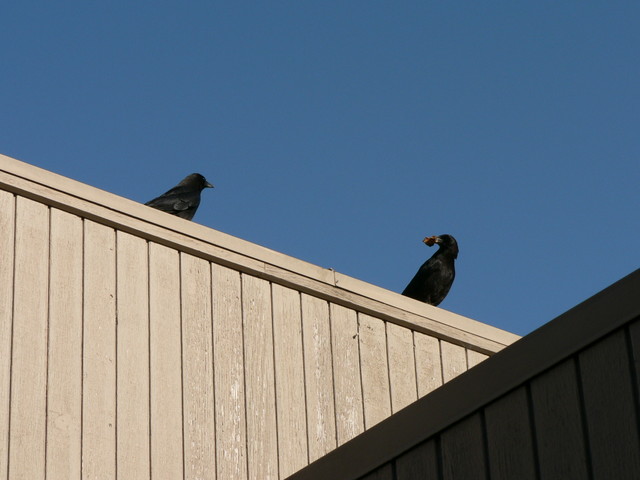 Feb. 22, 2006