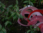 Mar. 8, 2006