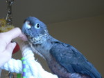 Mar. 10, 2006