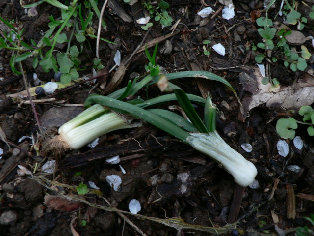 Mar. 14, 2006