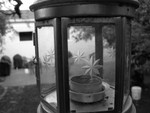 Mar. 26, 2006