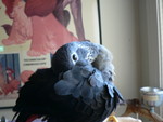 Apr. 19, 2006