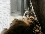 Apr. 22, 2006