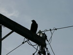 June 2, 2006
