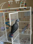 June 4, 2006