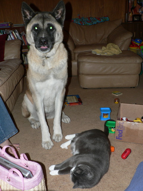 June 10, 2006