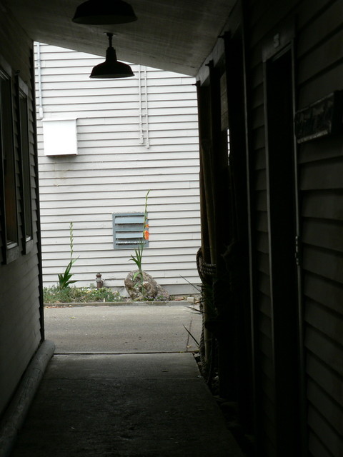 June 12, 2006