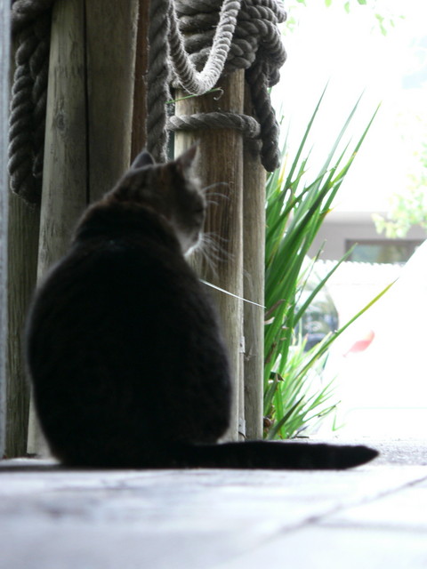 June 13, 2006