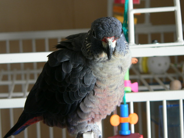 June 21, 2006