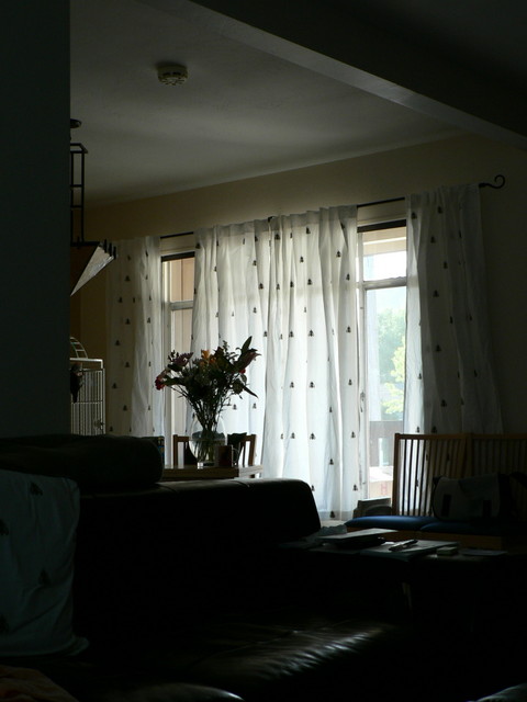 June 26, 2006