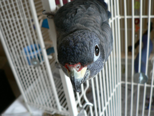 June 29, 2006