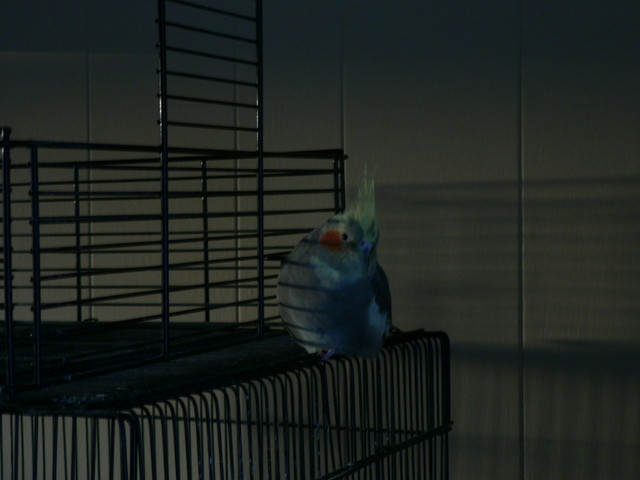 July 10, 2006