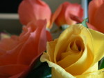 Apr. 7, 2007