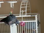 Apr. 24, 2007