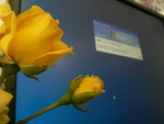 Apr. 26, 2007