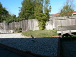 back yard center