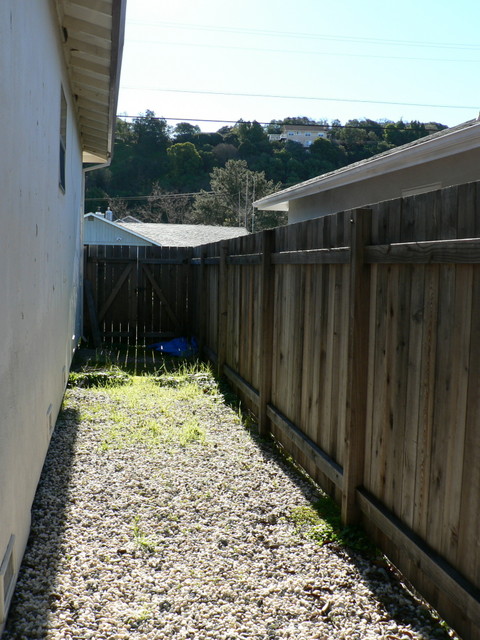 sideyard on master/bathroom/front bedroom side of the house