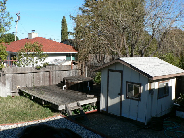 look out the back door into the yard