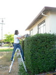 hedge progress continues