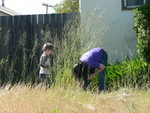 YaiYai helps Uncle Jim weed