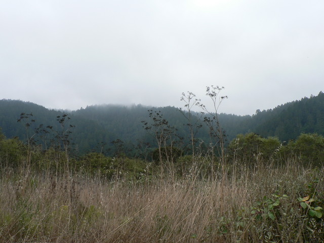 south of Point Reyes