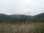 south of Point Reyes