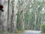 south of Pt. Reyes