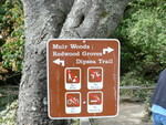 Muir Woods