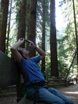 Muir Woods