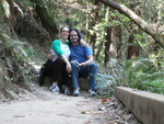 Muir Woods