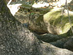 what does he see hiding?