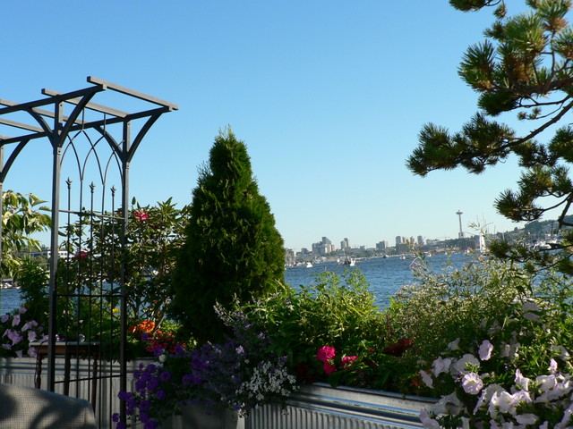 the view from the ceremony
