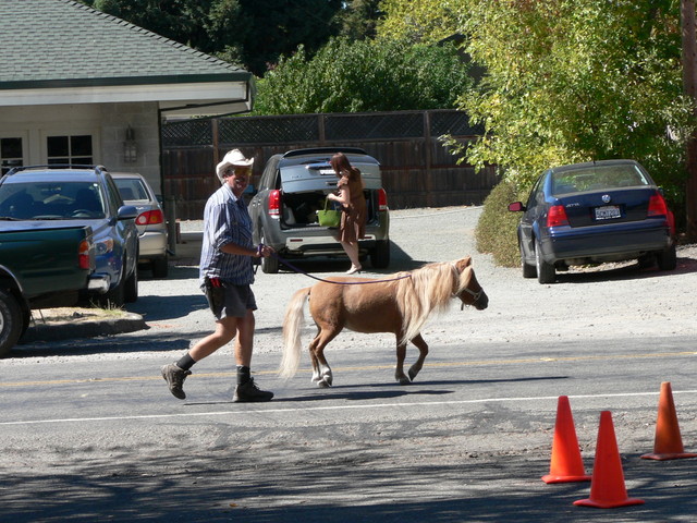 this dood was literally passing by