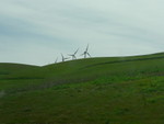 windmills