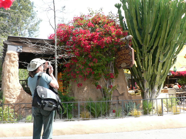 lookit that cactus!