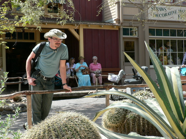 lookit that cactus!