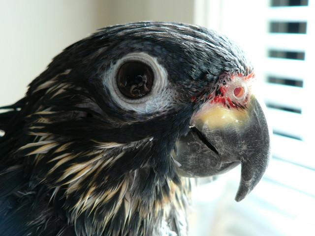 Mom's reflection in his eye