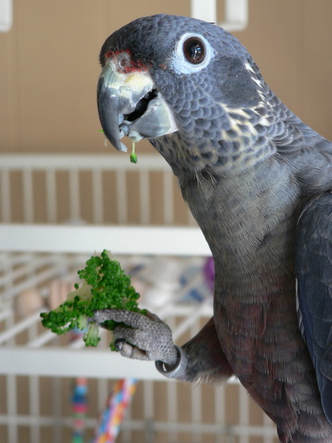 mmm broccoli