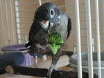 broccoli and eggs II