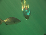 (me) diving while visiting the Na Pali Coast