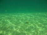 snorkeling at Tunnels Beach