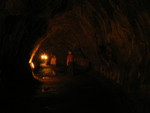 Volcanoes National Park: Thurston Lava Tube