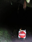 Volcanoes National Park: Thurston Lava Tube