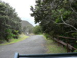 Volcanoes National Park: Pu'u Pua'i Overlook of the K&#299;lauea Iki Trail