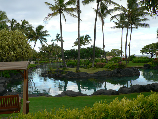 the "lower" salt water lagoon pool