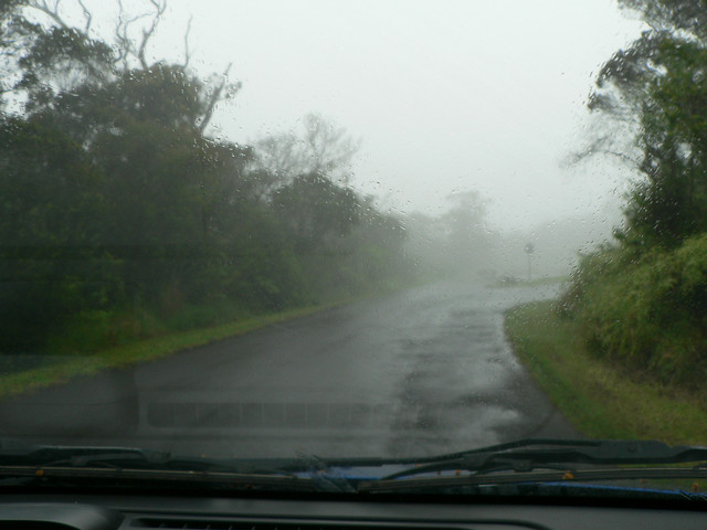 moving uphill into Koke'e Park, it starts to get wet