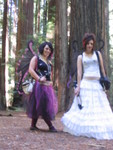 We found Fairies in the Woods!