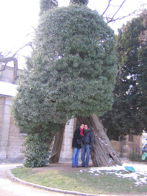Us Kids, under the
Oldest Tree in Paris