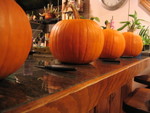 Highlight for Album: Pumpkin Carving 05