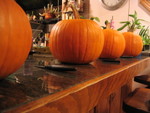 Highlight for Album: Pumpkin Carving 05